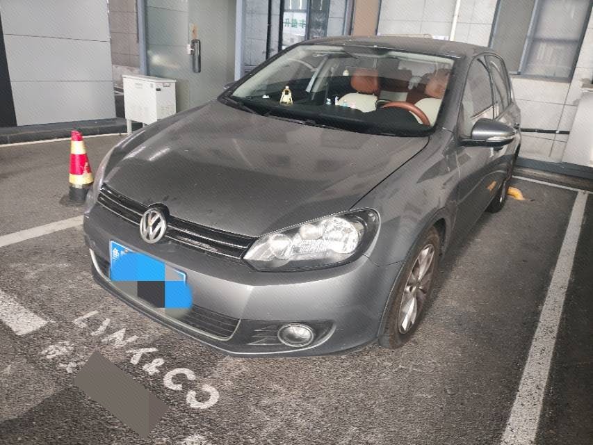 Volkswagen Golf 2010 Volkswagen Golf 2010 car image