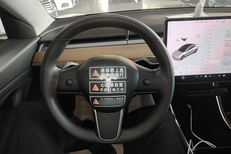 Tesla Model 3 2020 car image #15