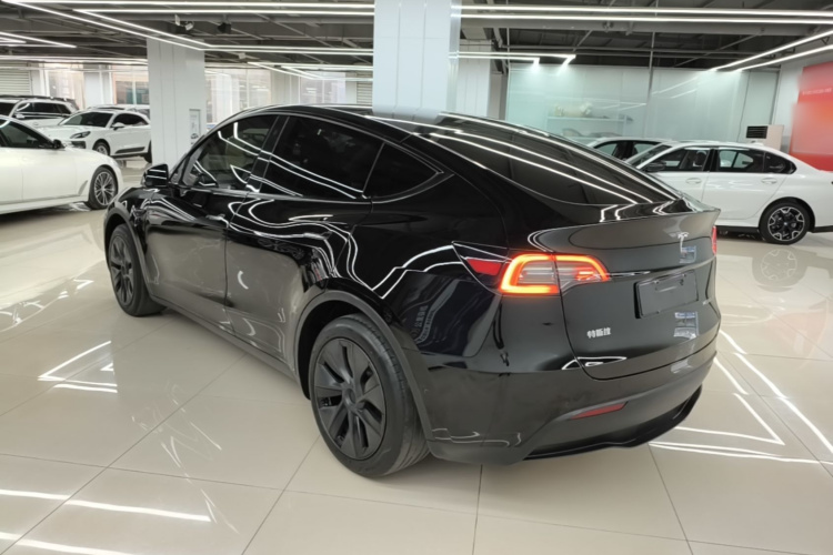 Tesla Model Y 2023 car image #5