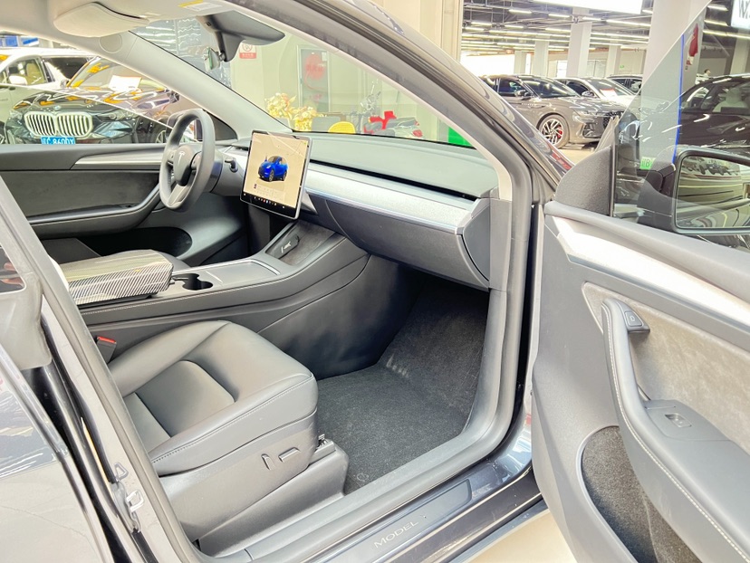 Tesla Model Y 2024 car image #9