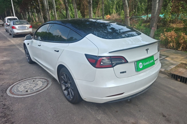 Tesla Model 3 2020 car image #5