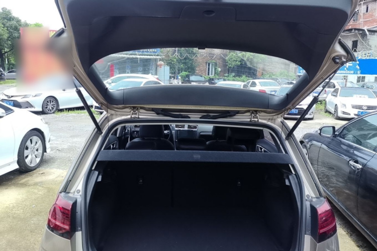 Volkswagen Golf 2020 car image #19