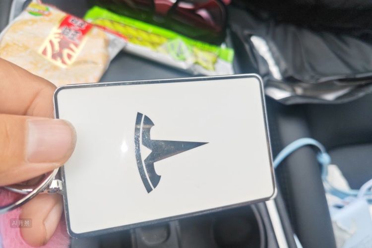 Tesla Model 3 2021 car image #10