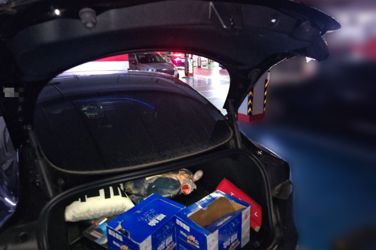 Tesla Model 3 2026 car image #25