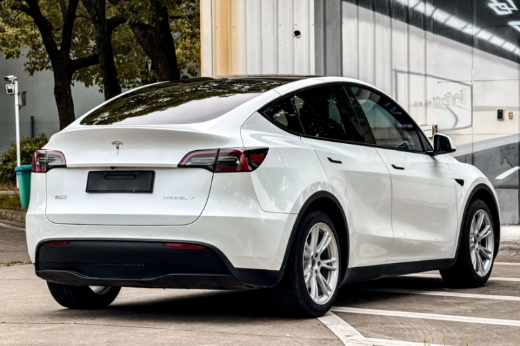 Tesla Model Y 2022 car image #6