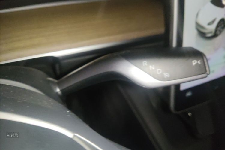 Tesla Model Y 2023 car image #16