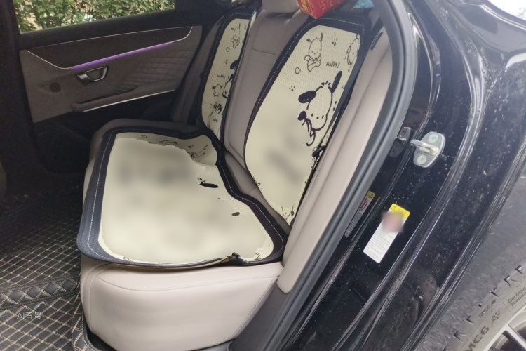 BYD Han 2024 immagine di auto #19