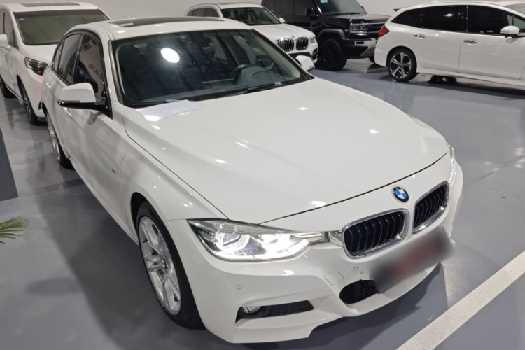 BMW 3 Series 2018 car image #5
