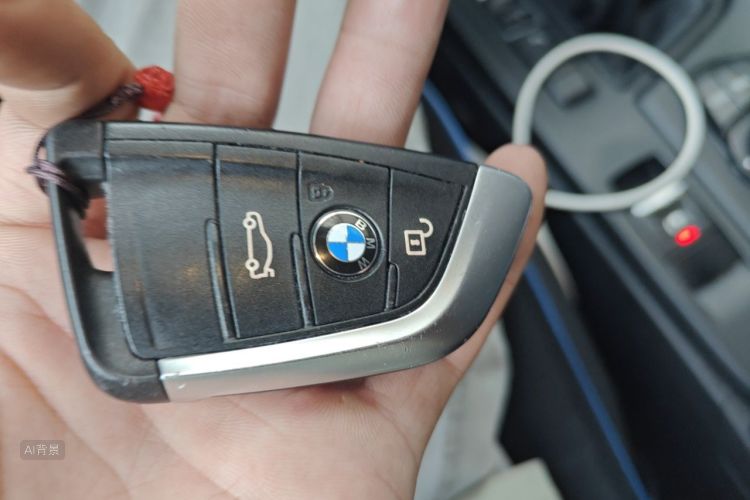 BMW X1 2017 car image #10