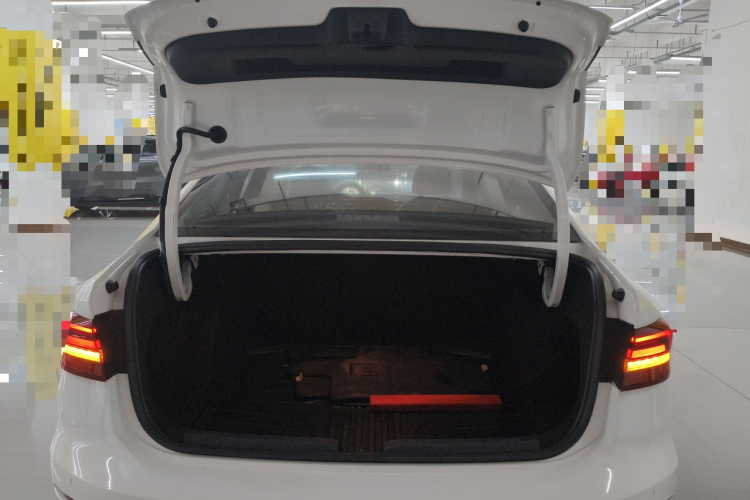 Volkswagen Lavida 2021 imagen de coche #19