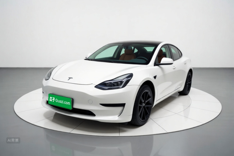 Tesla Model 3 2022 car image #2