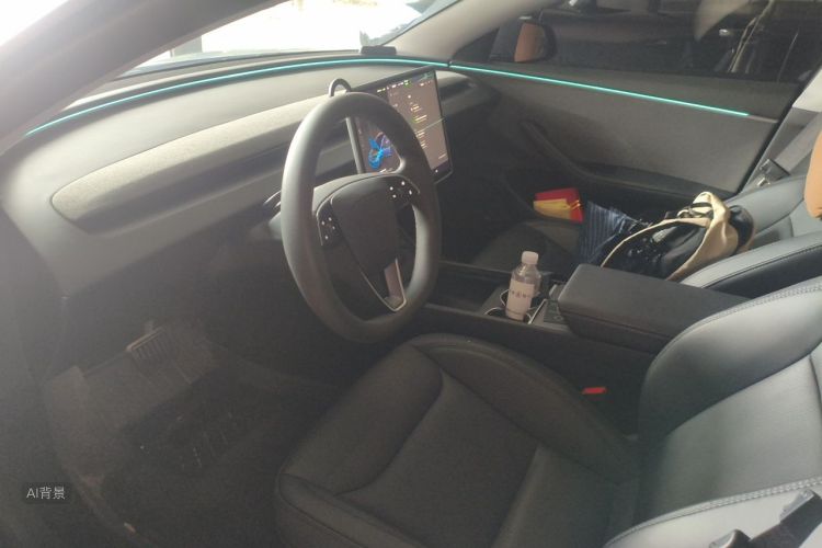 Tesla Model 3 2024 car image #18