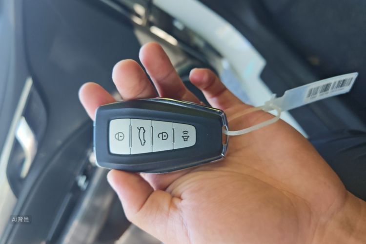 GEELY Emgrand 2019 car image #10