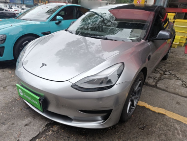 Tesla Model 3 2021 Tesla Model 3 2021 car image