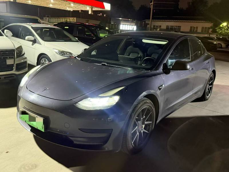 Tesla Model 3 2021 Tesla Model 3 2021 car image