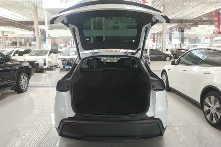 Tesla Model Y 2025 #19 Tesla Model Y 2025 car image #19
