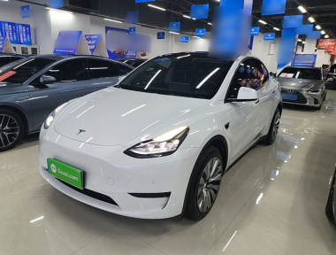 Tesla Model Y 2023 Tesla Model Y 2023 car image