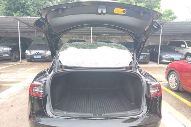 Tesla Model 3 2023 #19 Tesla Model 3 2023 car image #19
