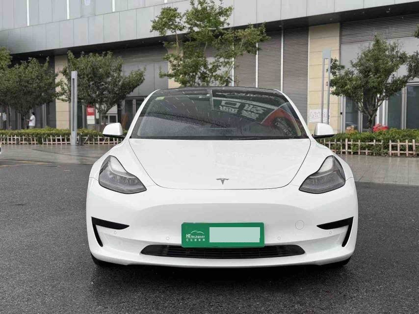 Tesla Model 3 2021 #3 Tesla Model 3 2021 car image #3