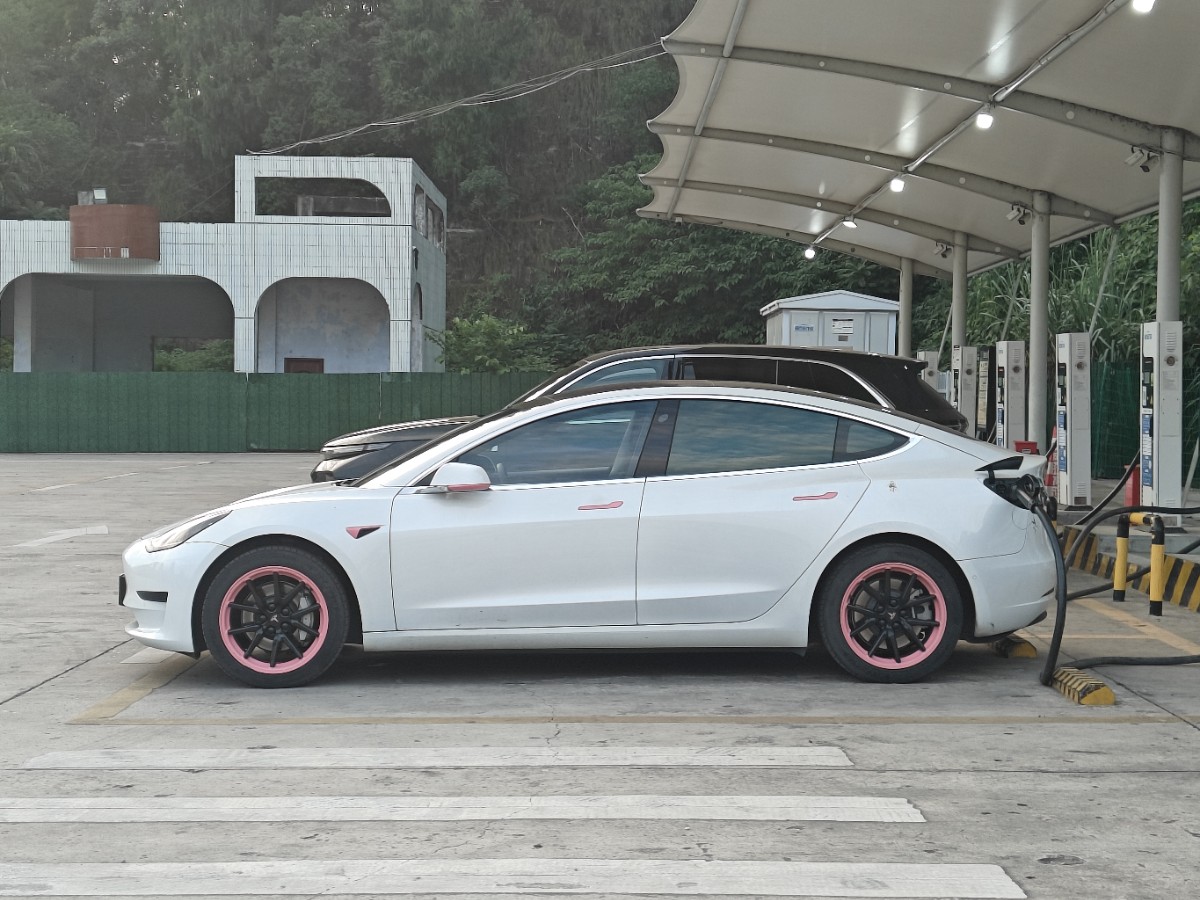 Tesla Model 3 2020 car image #4