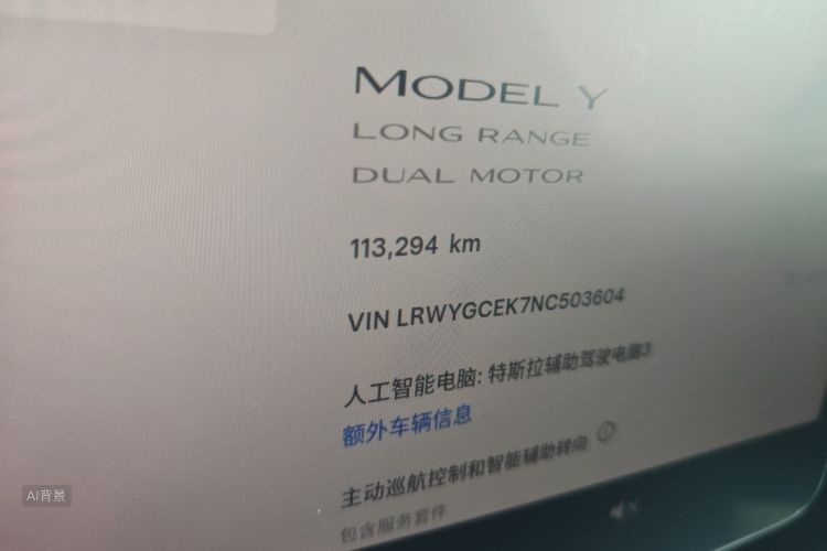 Tesla Model Y 2022 car image #14