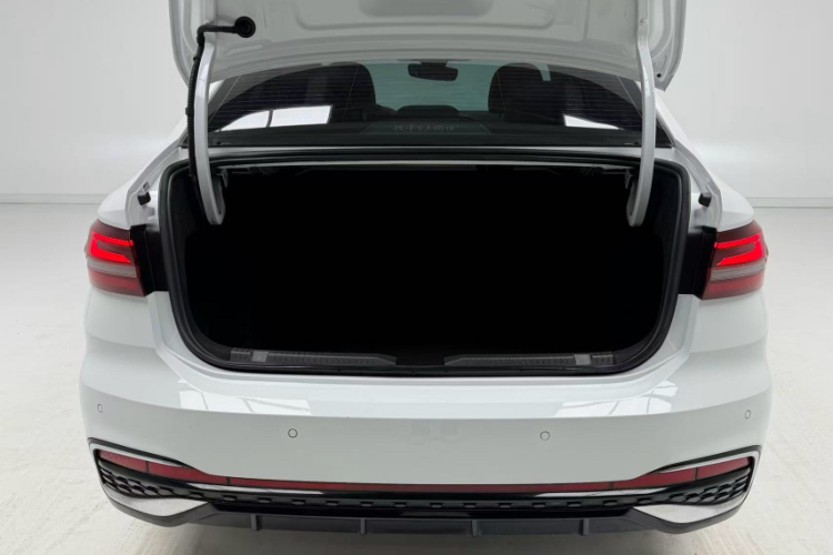 Volkswagen Lavida 2024 imagen de coche #12