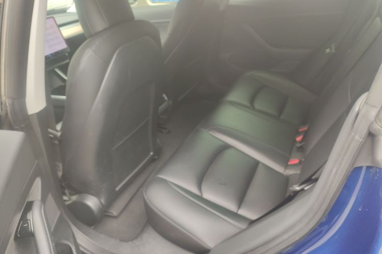 Tesla Model 3 2020 immagine di auto #13