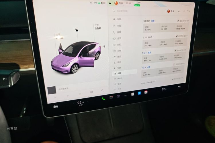 Tesla Model Y 2021 #15 Tesla Model Y 2021 car image #15
