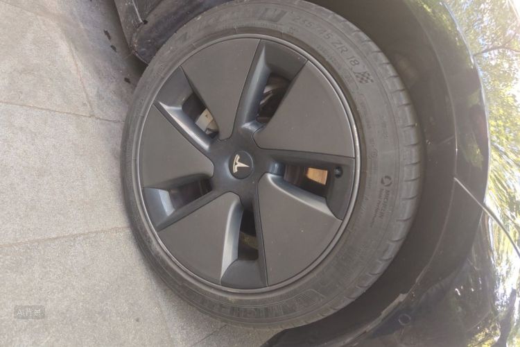 Tesla Model 3 2021 #9 Tesla Model 3 2021 car image #9