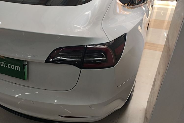 Tesla Model 3 2020 #8 Tesla Model 3 2020 car image #8
