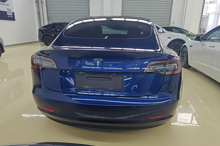 Tesla Model 3 2020 car image #6