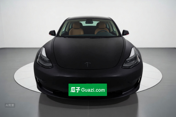 Tesla Model 3 2021 car image #3