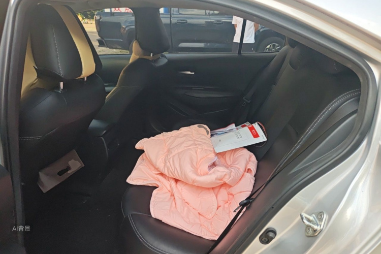 Toyota Corolla 2022 car image #19