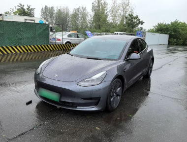 Tesla Model 3 2021 car image 
