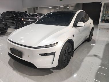Tesla Model Y 2025 Tesla Model Y 2025 car image