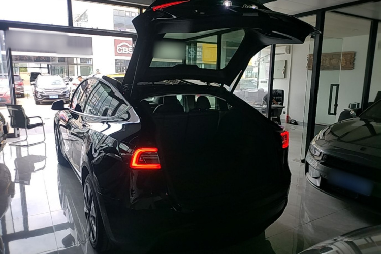 Tesla Model Y 2023 #19 Tesla Model Y 2023 car image #19