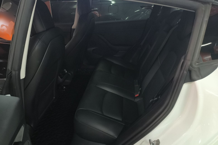 Tesla Model 3 2021 #17 Tesla Model 3 2021 car image #17