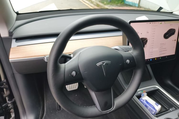 Tesla Model Y 2021 car image #11