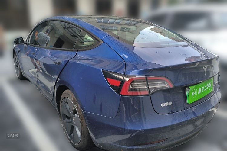 Tesla Model 3 2021 car image #5