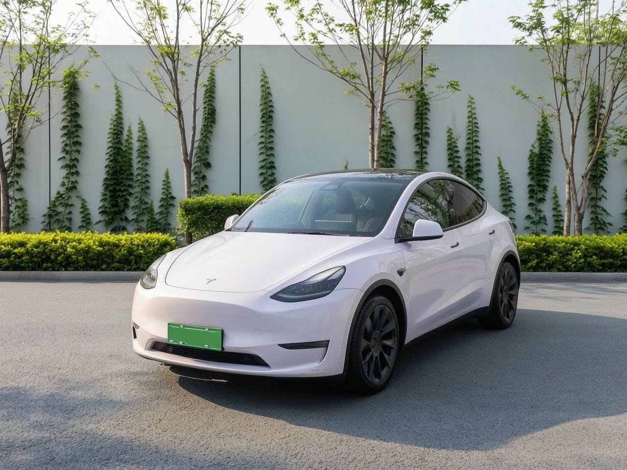 Tesla Model Y 2021 car image 