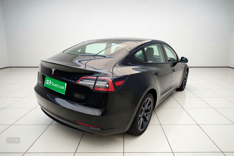 Tesla Model 3 2021 car image #7