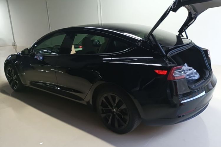 Tesla Model 3 2022 car image #5