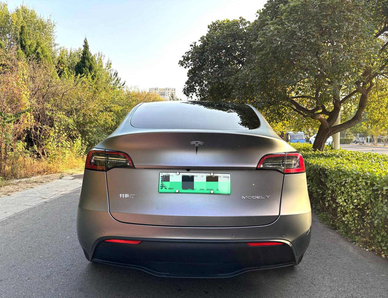 Tesla Model Y 2024 #6 Tesla Model Y 2024 car image #6