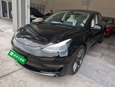 Tesla Model 3 2021 car image 