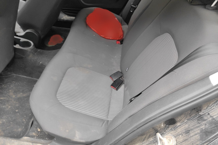 Volkswagen Santana 2019 car image #14