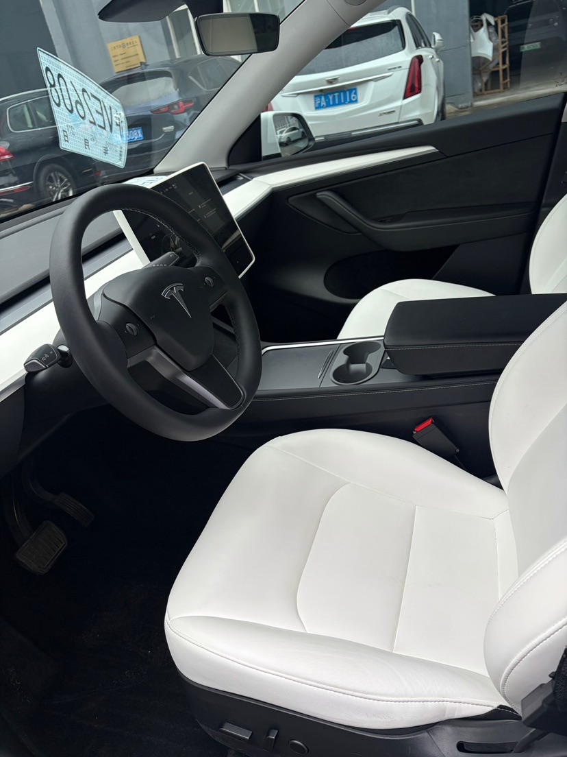 Tesla Model Y 2021 car image #8