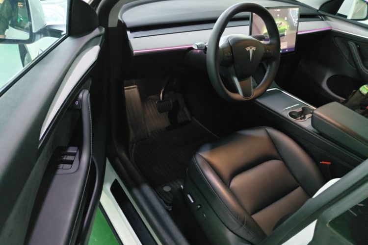 Tesla Model Y 2024 car image #16