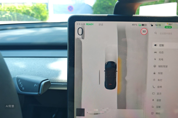 Tesla Model Y 2024 car image #13