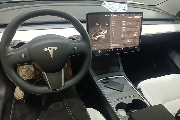 Tesla Model 3 2022 car image #10
