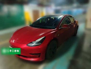 Tesla Model 3 2020 Tesla Model 3 2020 car image